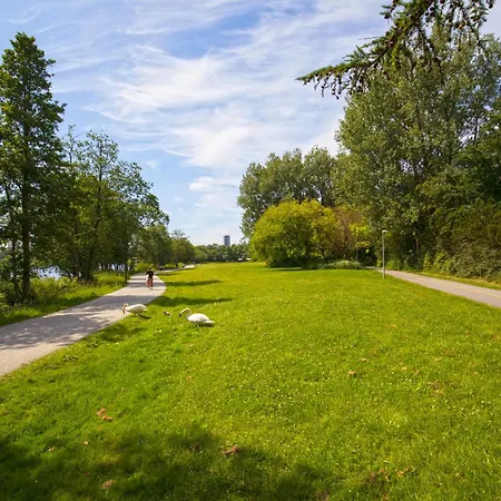 ستافانغر فورم ستافانجر